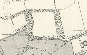 Forster Memorial park on a map from 1863
