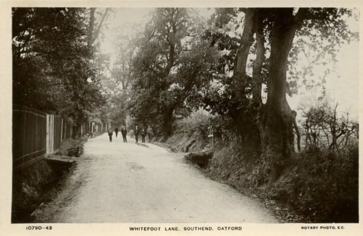 Old postcard from when Whitefoot Lane really was just a lane.